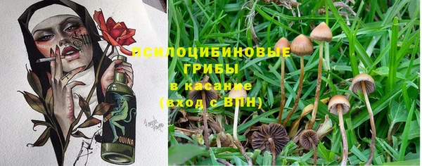 COCAINE Белоозёрский
