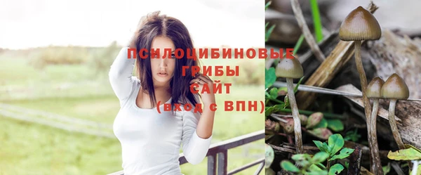 ALPHA PVP Белокуриха
