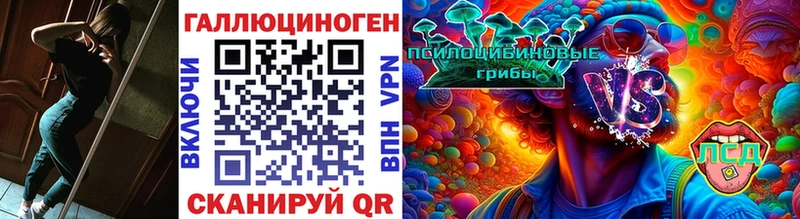 Галлюциногенные грибы мицелий Шлиссельбург