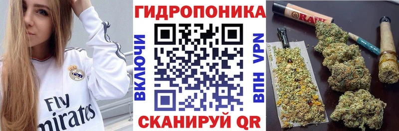 Конопля ГИДРОПОН  Шлиссельбург 